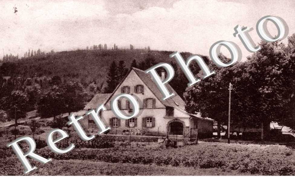 Maison Forestiere, Lerchenfeld-Breitenbach