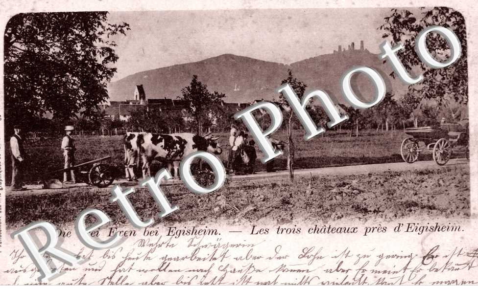 Die drei Exen bei Egisheim. les trois Chateaux pres d&#039;Eigisheim