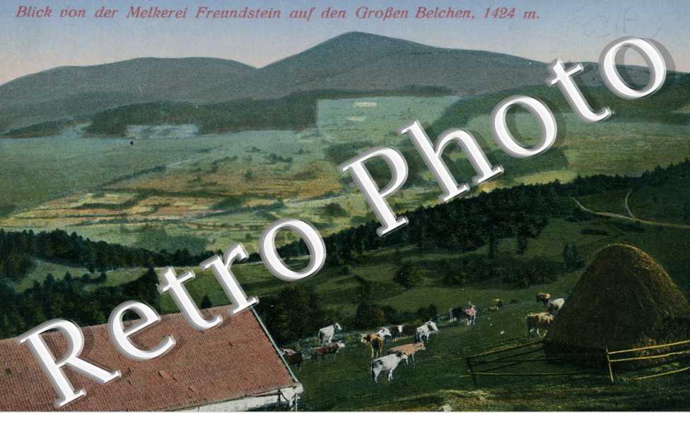 blick von der Melkerei Freundstein auf den grossen belchen