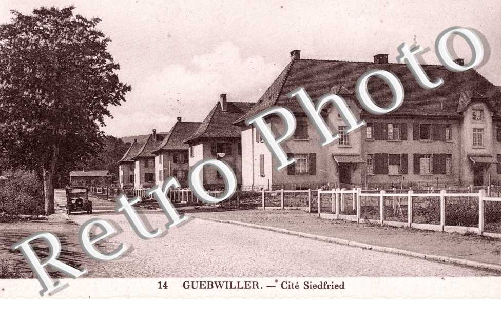 Cite Siedfried
