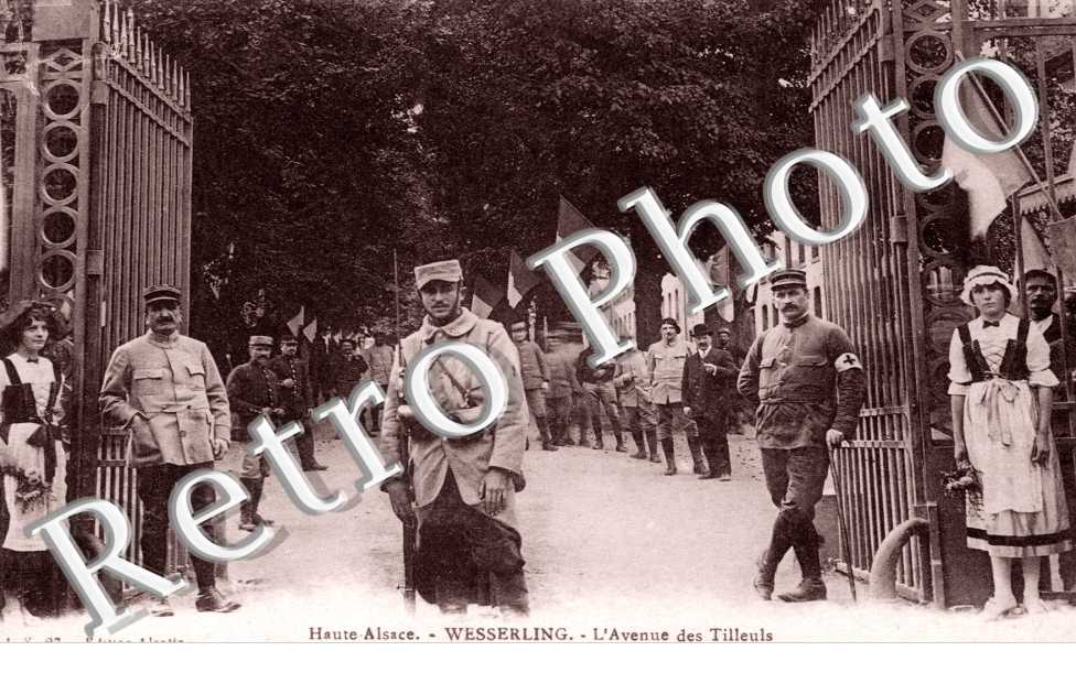 l'Avenue des Tilleuls