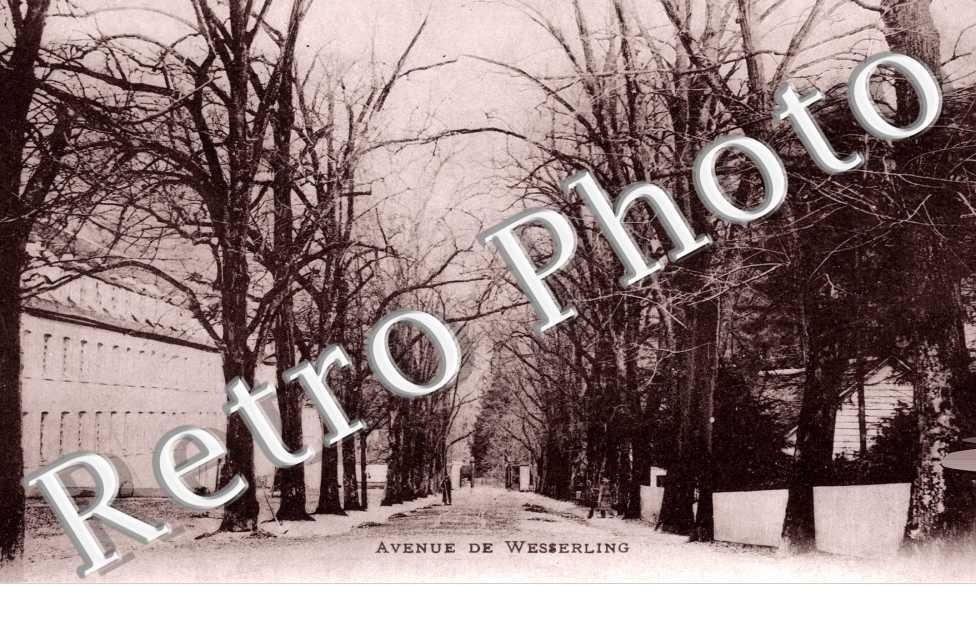 Avenue 