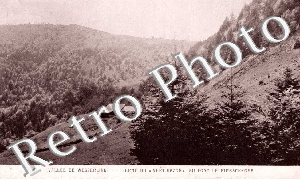 Ferme du Vert Gazon Au fond le Rimbachkopf