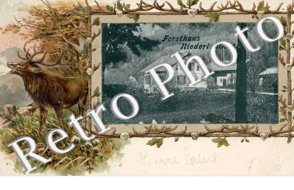 Forsthaus Niederlauchen