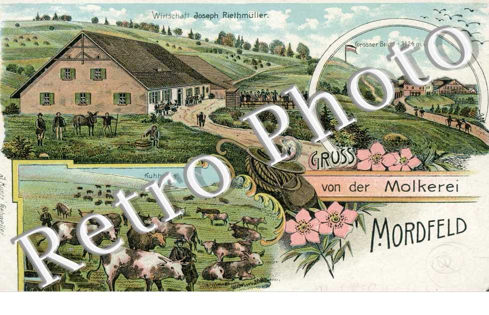 Gruss von der Molkerei, Mordfeld