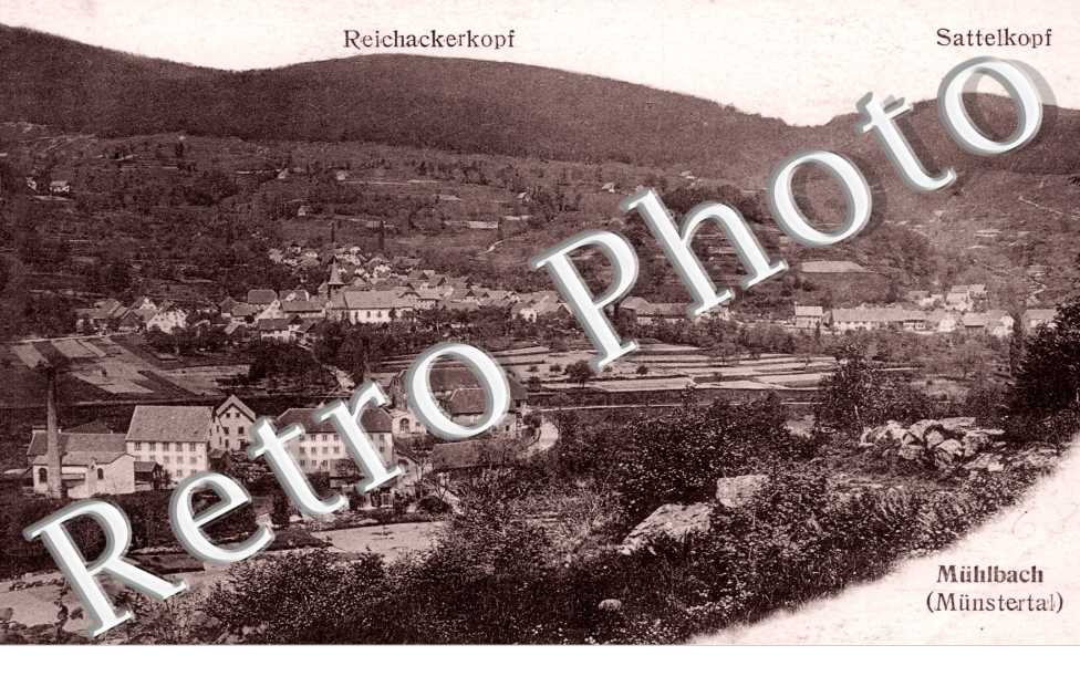 Reichackerkopf