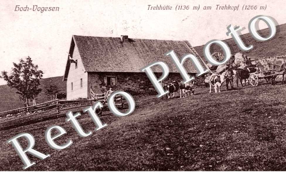 Trehhutte am Trehkopf