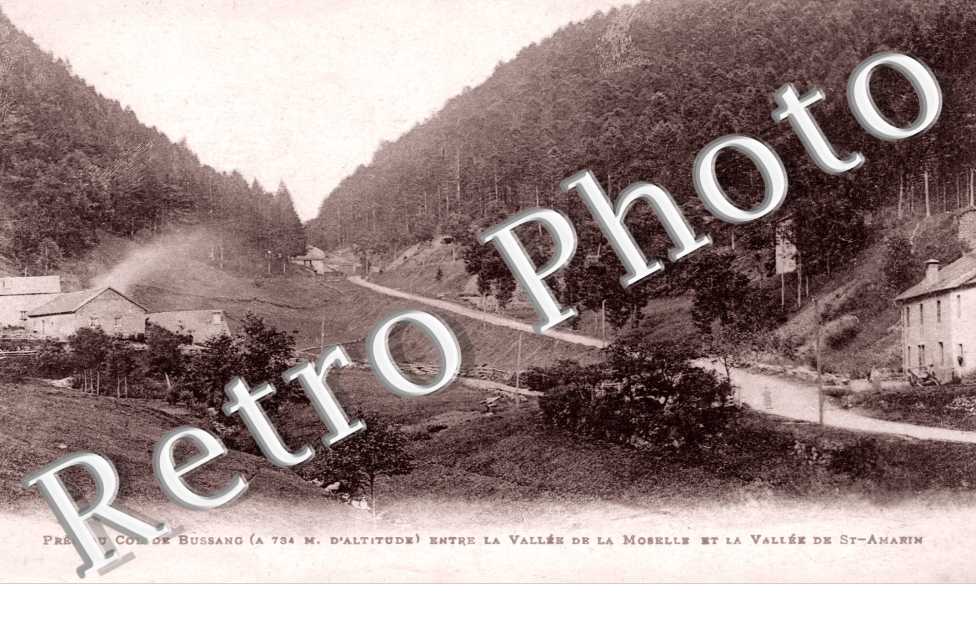 Pres du Col de Bussang