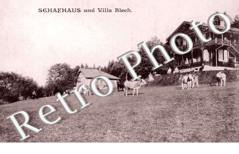 Schafhaus und Villa Blech