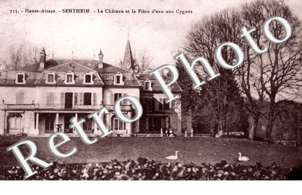 le chateau et la piece d&#039;eau aux cygnes