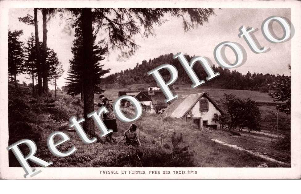Paysage et fermes