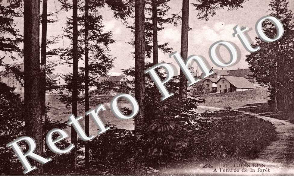 Entree de la Foret
