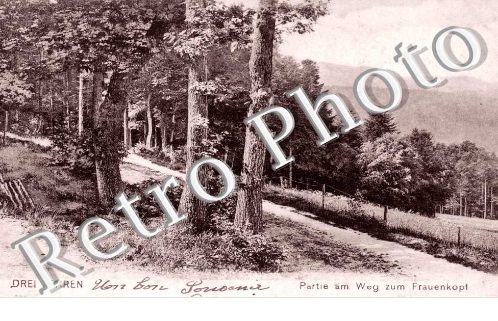partie am weg zum Frauenkopf