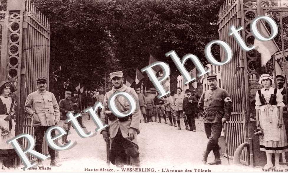 l&#039;avenue des Tilleuls