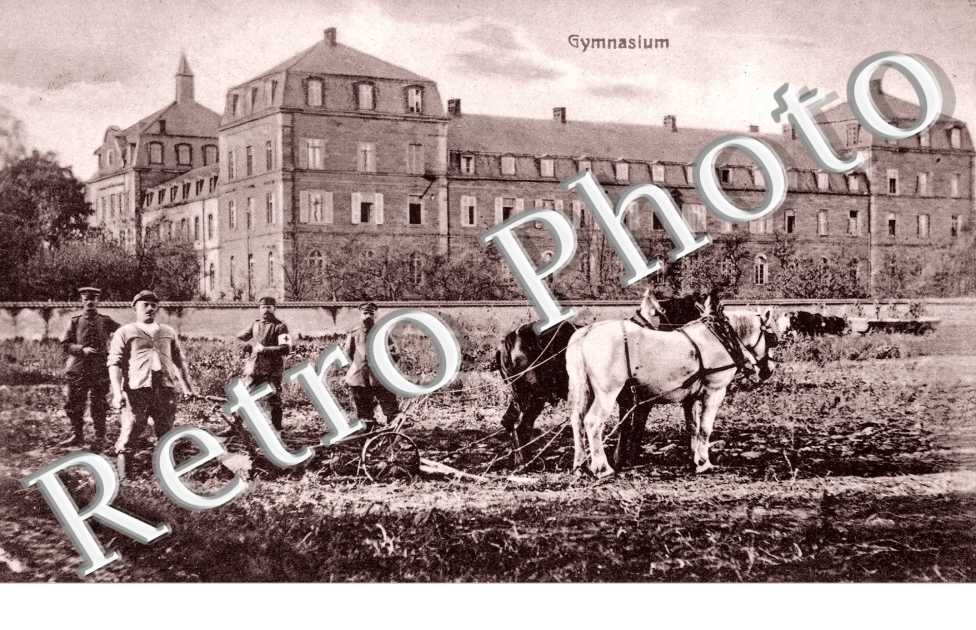 gymnasium