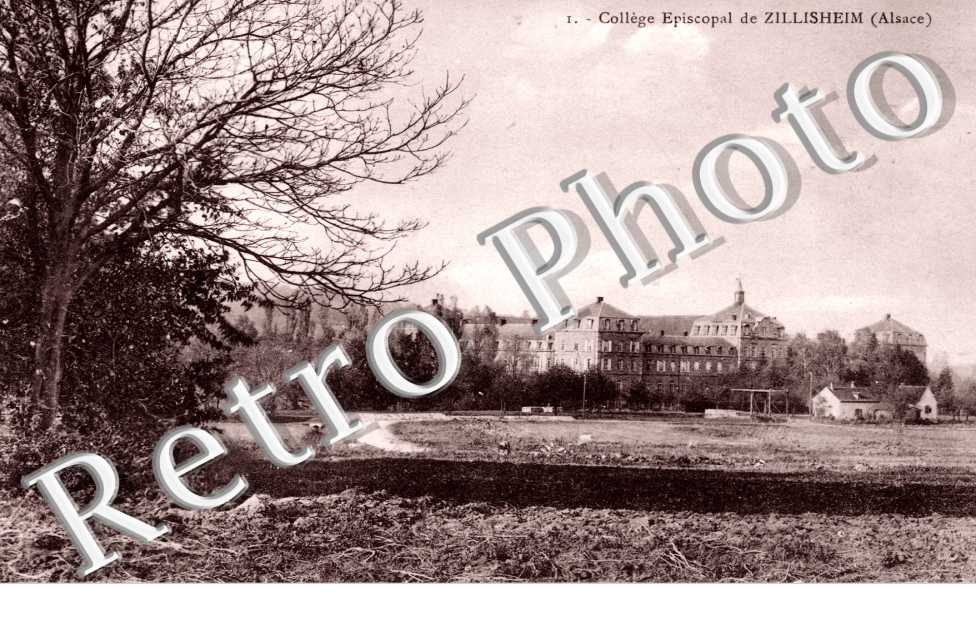 Collège Episcopal - Vue Globale