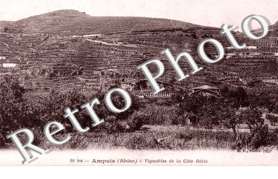 Vignobles de la Cote Rotie