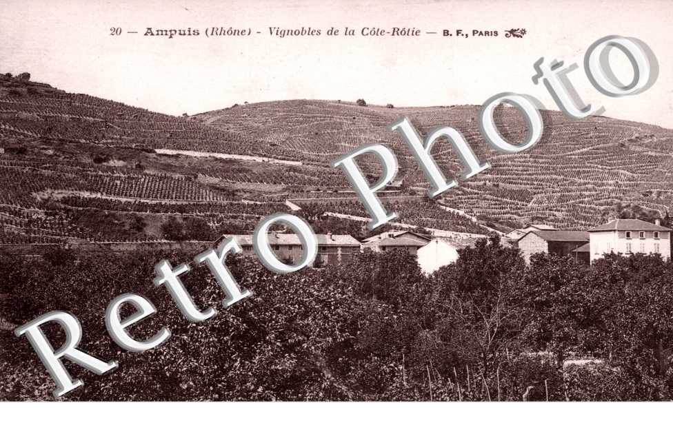Vignobles de la Cote Rotie