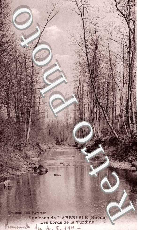 Les Bords de la Turdine
