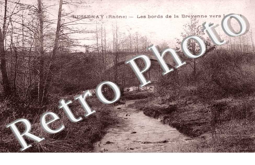 les bords de la Brevenne vers le Pont