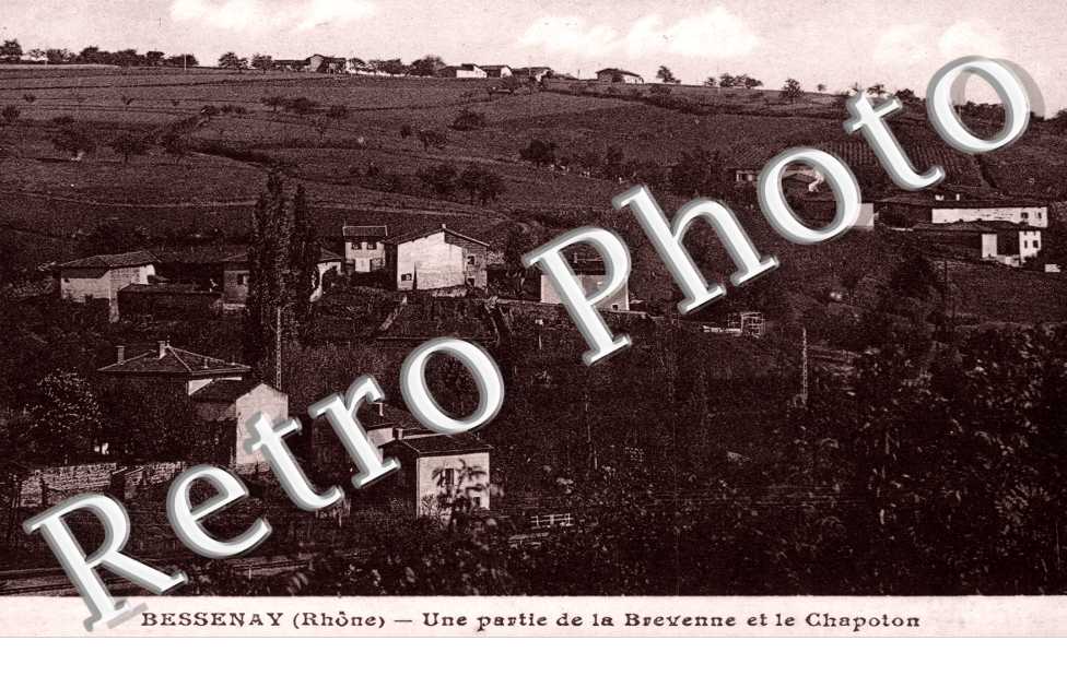 Une partie de la Brevenne et le Chapoton