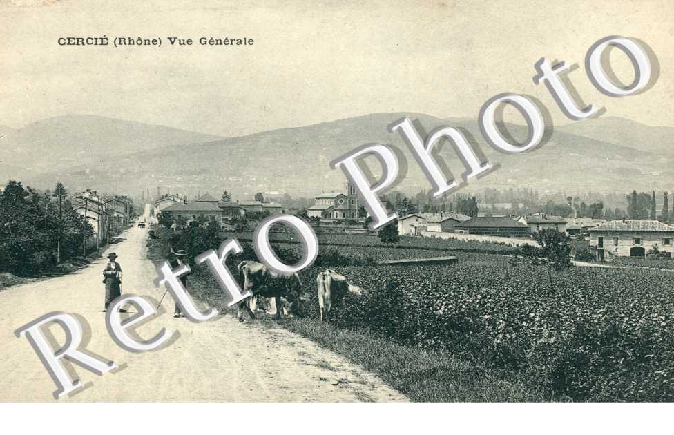 Vue generale