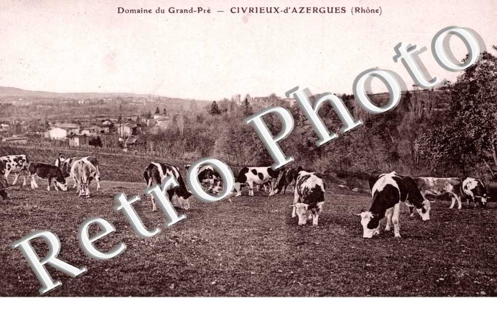 Domaine du Grand Pre