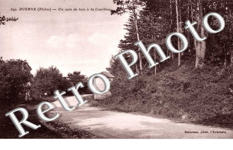 un coin de bois a la courtine