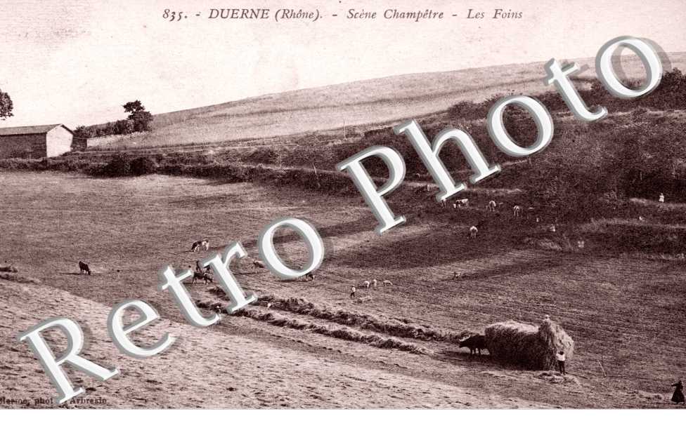 Scene Champetre, les foins