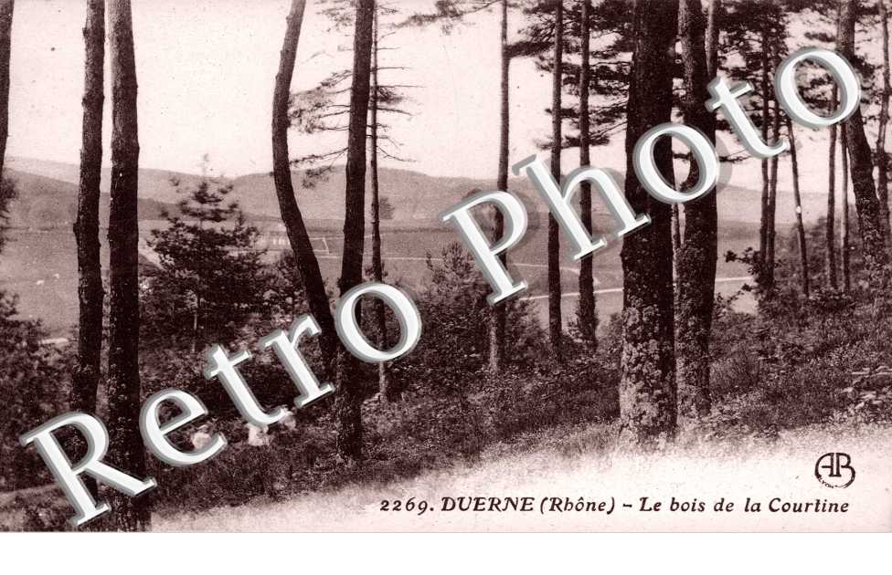Bois de la Courtine