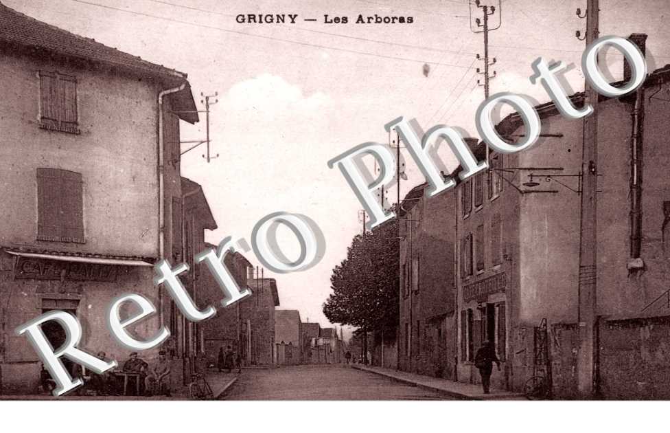 les Arboras
