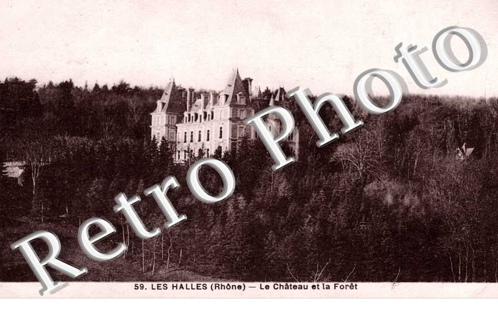 Le Chateau et la Foret