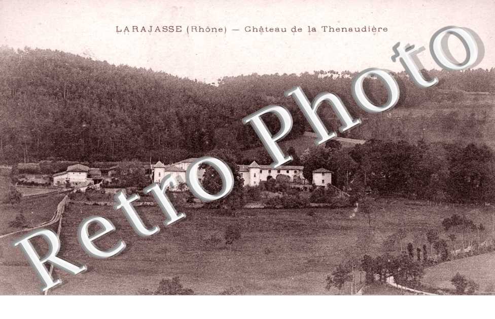 Chateau de la Thenaudiere