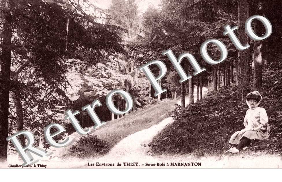 Sous bois a Marnanton