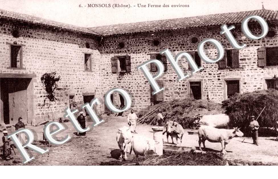 Une ferme des environs - elevage