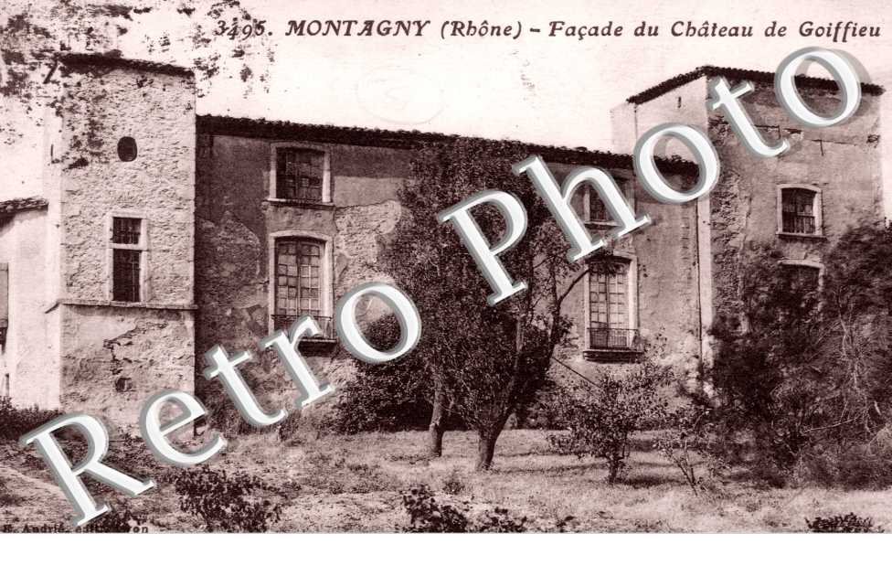 Facade du chateau de Goiffieu