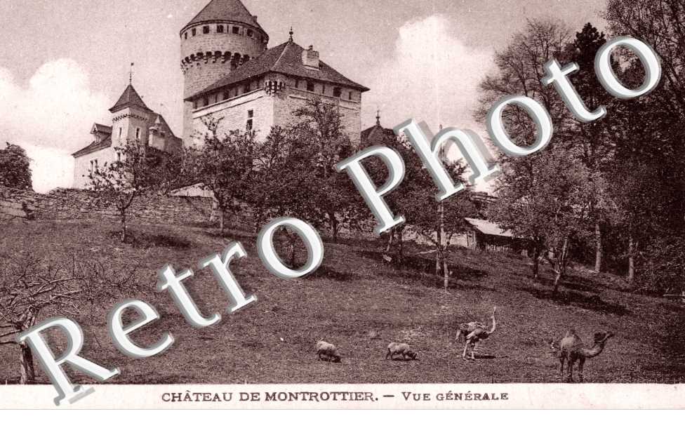 Vue generale