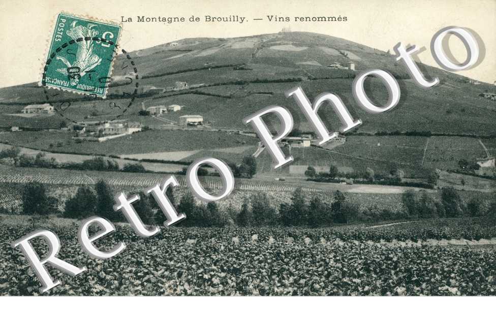 la Montagne de Brouilly, Vins renommes