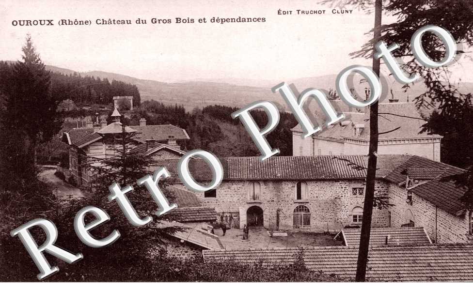 Chateau du Gros Bois et dependances