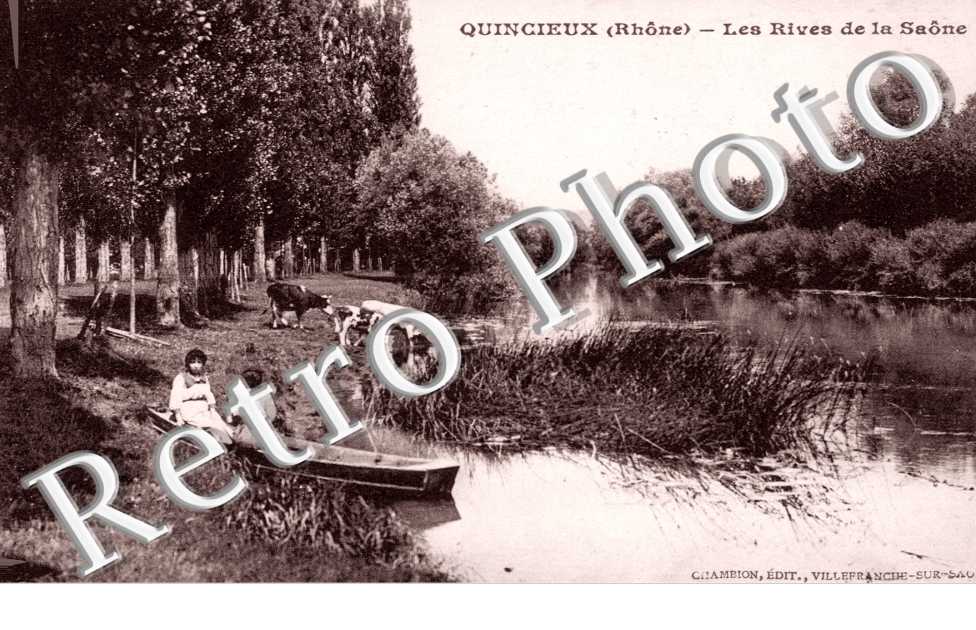 les rives de la Saône