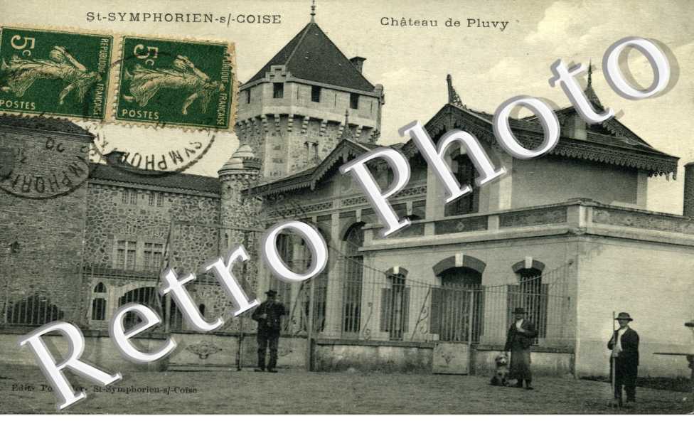 Chateau de Pluvy