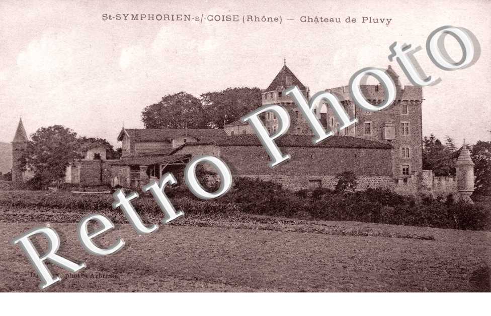 Chateau de Pluvy