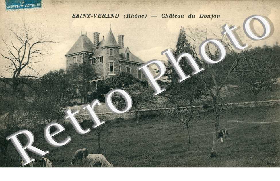 Chateau du Donjon
