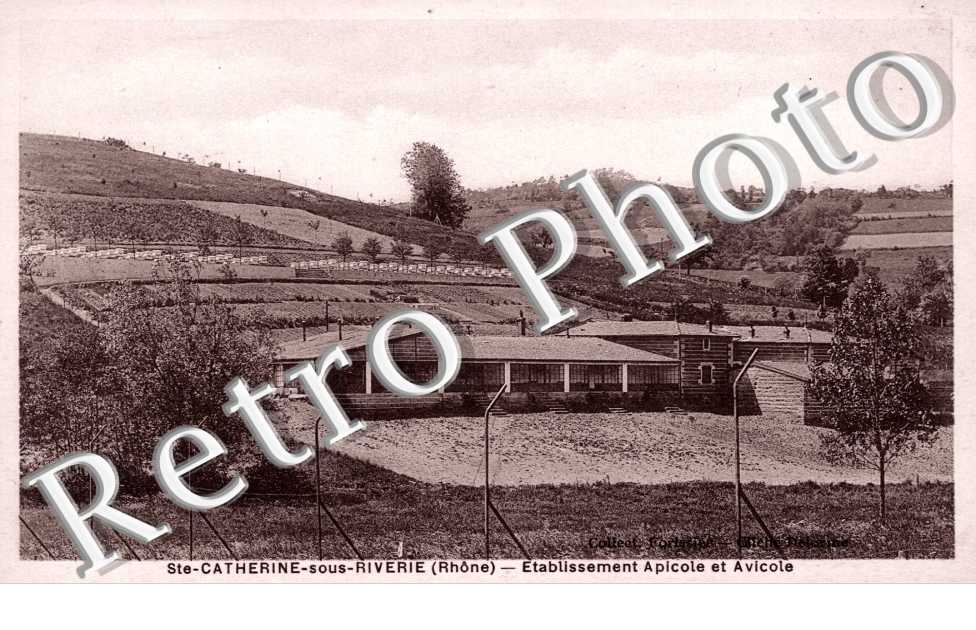 Etablissement Apicole et Avicole