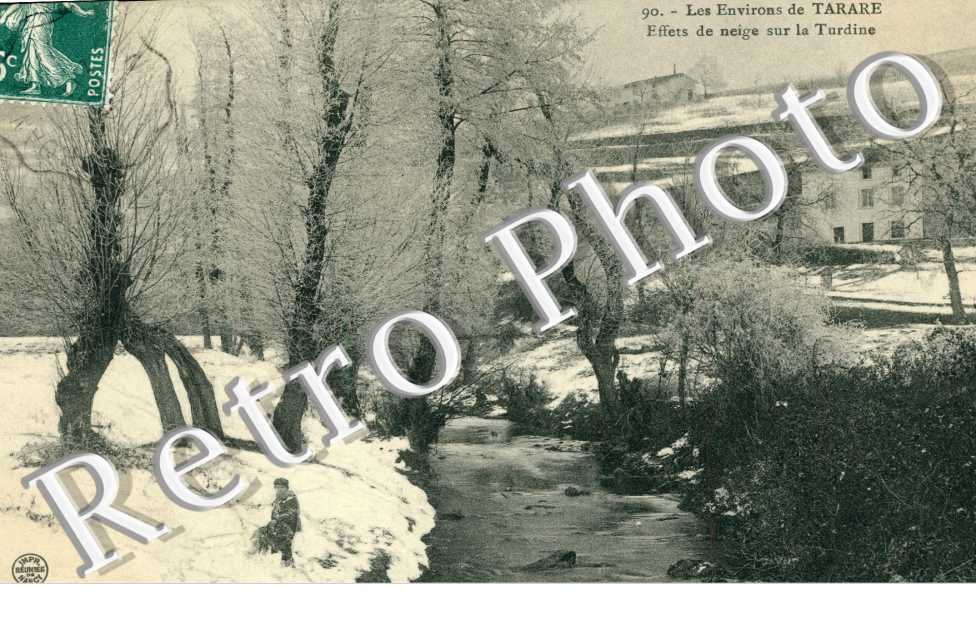 Effets de Neige sur la Turdine