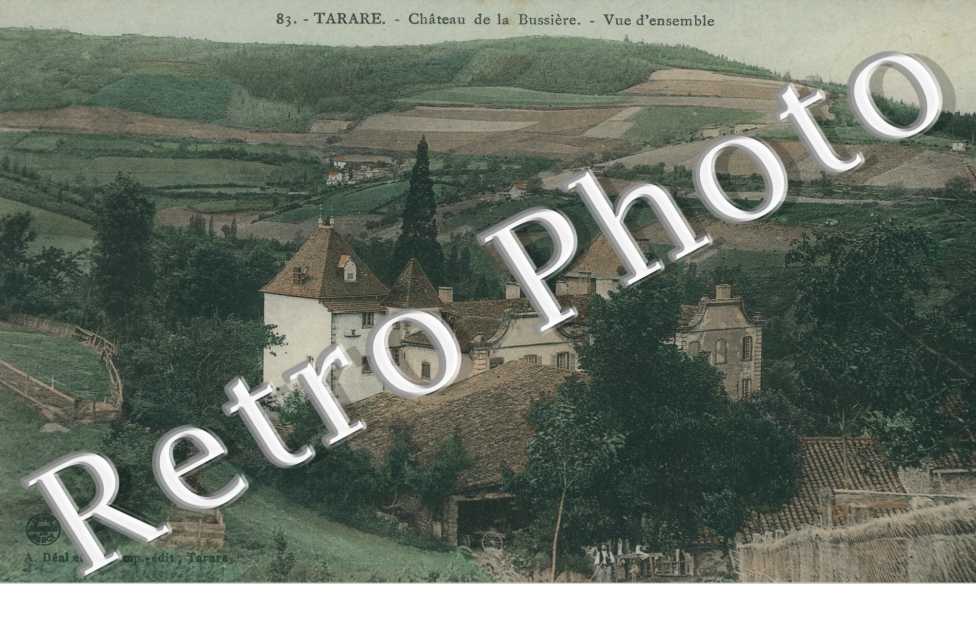 Chateau de la Bussiere - Vue d&#039;ensemble (couleur)