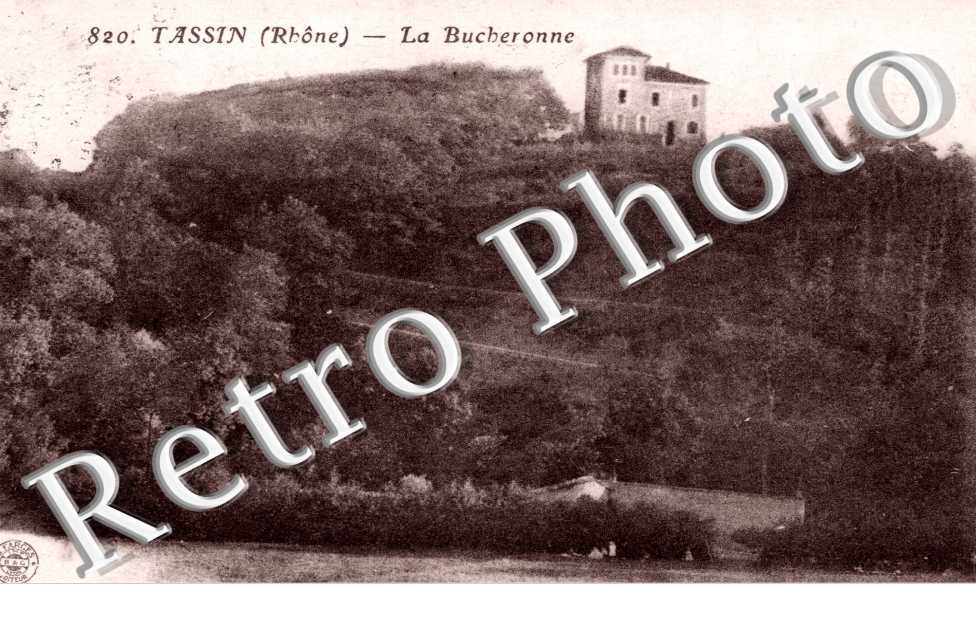 La bucheronne