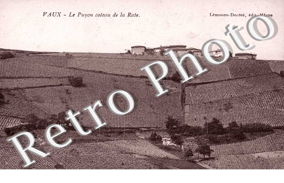 le Puyon coteau de la Rate