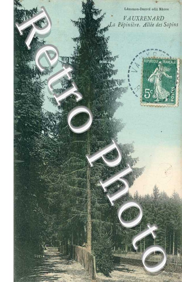 La Pépinière - Allée des sapins