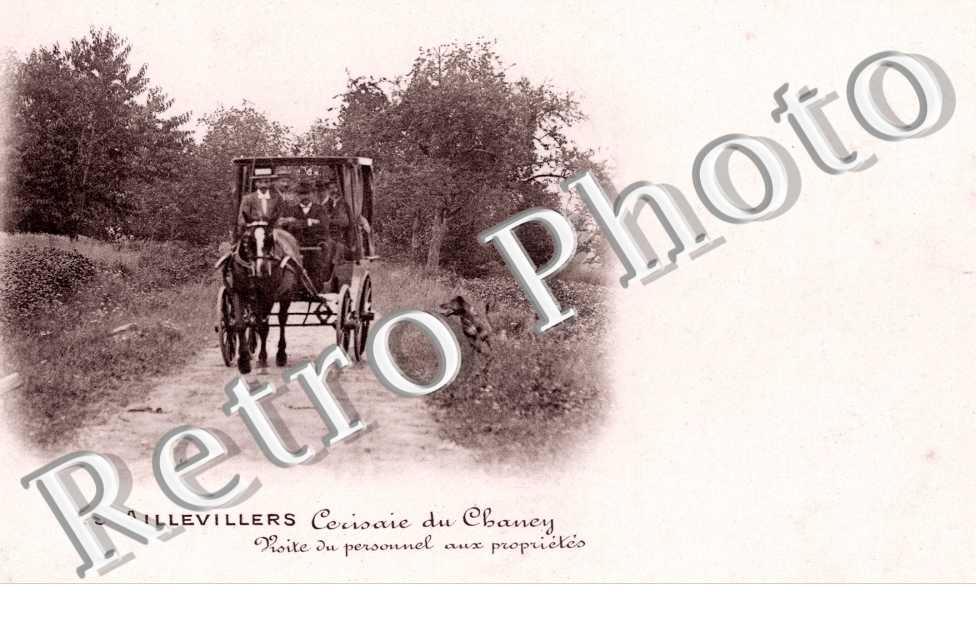Cerisaie du Chaney